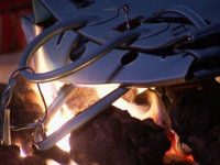 PurseOnFire-1327682224.jpg