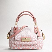 bag.jpg