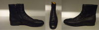 image-3069258343.png