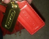 CameraZOOM-20120212025159432-1.jpg