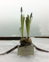 La Maison party gift.jpg