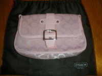 pink coach 1.jpg