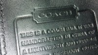 IMAG0020-sm.jpg
