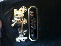 IMG-20120313-00192.jpg