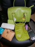 Lime Classic Satchel.jpg