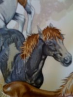Les Mustangs %22red%22.jpg