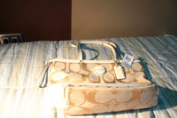 IMG-9898.JPG