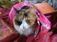 double scarves a lot 045.JPG