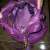 5Ia5Kb5M83F13J53N8c3kb02362ab393c19b1.jpg