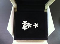 Socrate BTF Ring Top View.jpg