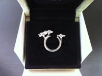 Socrate BTF Ring Side View.jpg