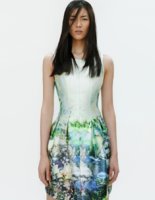 z dress.jpg