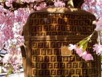 Fendi Cherry Blossom21.jpg