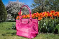 longchamp-7807.jpg