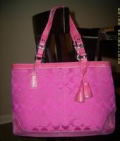 Pink_Coach[1].JPG