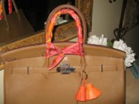 Pelage twilly on Alezan 004.JPG