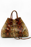 BV_Hand_painted Python bag.jpg