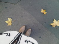 Etoupe jumping autumn.jpg