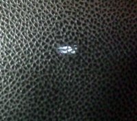 0528122108-1.jpg