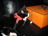 rsz_img_2236.jpg