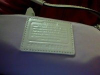 Snapshot_20120602.JPG