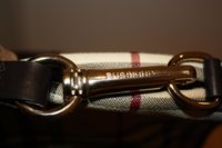 IMG_6364.jpg