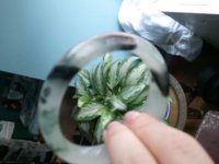 2012-06-11_14.00.24.jpg
