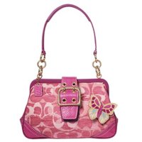 8k31_Optic Chenille Framed Purse w snakeskin .jpg