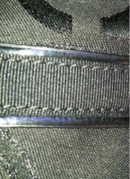 Dulled Trim on Front of Bag.jpg