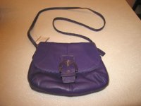 PurpleCoachSwingPack001.jpg
