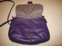 PurpleCoachSwingPack006.jpg