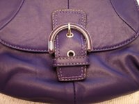 PurpleCoachSwingPack005.jpg