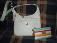 Ergo Cross body and watercolor wristlet.jpg