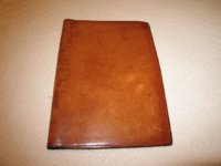PassportTan001.jpg
