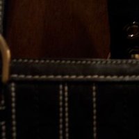 coachupclose2.JPG