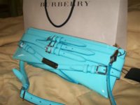 Burberry blue 004 (Small).jpg