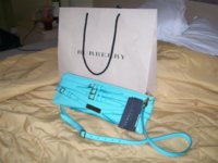 Burberry blue 003 (Small).jpg