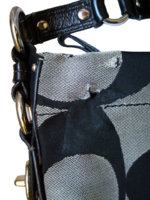 carlycloseup006sm.jpg