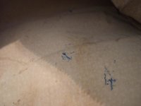 DSCF6888_small.jpg