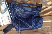 Blueberry bbag1.jpeg