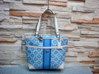 saba tote.jpg