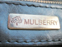 mulberry 008.JPG