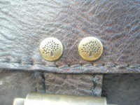 mulberry 002.JPG