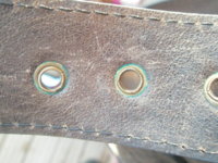 mulberry 019.JPG