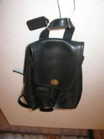 DaypackBlkCoach001.jpg