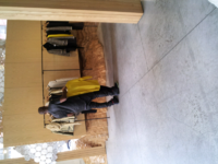 ForumRunner_20120808_195848.png