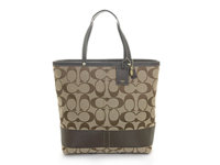 tote1.jpg