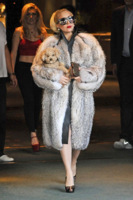 Lady Gaga 1.png