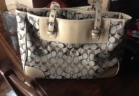 stacyamy-áListia fake Coach front.png