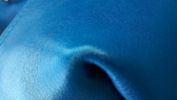 ForumRunner_20120828_125454.png
